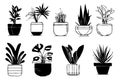 A set of potted plants in various sizes and shapes Royalty Free Stock Photo