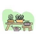 Set of Potted seedling plants in Flowerpots and Table. l Decorative Palms in Pots, Isolated Graphic Design Elements