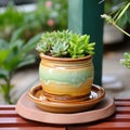 Succulent Pot On Wooden Bench: Shang Dynasty-inspired Amber And Green Style
