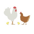 Rooster cock with hen and chicks isolated on white background. Chicken family icons in flat or cartoon style vector illustration Royalty Free Stock Photo