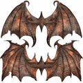 A set of powerful dragon wings with a leathery texture and sharp edges, isolated on white Royalty Free Stock Photo