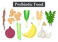 Set of prebiotic food. Nutrition. Nondigestible fibers. Healthy supplement