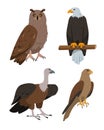 Set of predatory birds icons. Owl, eagle, kite or hawk and vulture