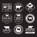 Set of premium beef labels, badges and design elements. Vector Illustration. Royalty Free Stock Photo