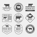 Set of premium beef labels, badges and design elements. Vector Illustration. Royalty Free Stock Photo