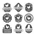 Set of premium chicken labels, badges and design elements. Chicken organic logo. Vector Illustration.