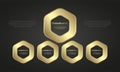 Set of premium hexagon infographic icons design on dark gradient background, Luxury symbol Infographic design. a Gold web buttons Royalty Free Stock Photo