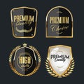 Collection of premium quality badges and labels template