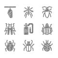 Set Pressure sprayer, Stink bug, Mite, Colorado beetle, Beetle, Cockroach and Butterfly cocoon icon. Vector