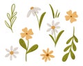 Set of pretty simple daisy flowers. Coupon with Chamomile in scandinavian style. Stylized tiny flowers, digital