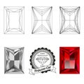 Set of princess cut jewel views Royalty Free Stock Photo