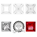 Set of princess cut jewel views Royalty Free Stock Photo