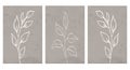 Printable Illustrations, Minimalist Pattern, Plants, Flowers, Wall Art, Home Decor. Botanical illustrations.