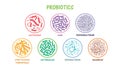 Set of probiotic bacteria