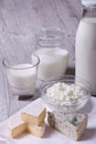 Set of products brie, blue cheese, cottage cheese and milk Royalty Free Stock Photo