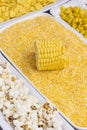 A set of products made from corn: corn grits, popcorn, boiled grains, and cereals. White plates Royalty Free Stock Photo