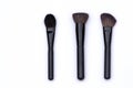 Set professional brushes for face makeup in black, white background Royalty Free Stock Photo