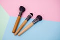 A set of professional brushes for makeup and face correction lies on a colored background with copy space for text Royalty Free Stock Photo