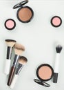 Set of professional cosmetic: make-up brushes