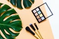 Set of professional decorative cosmetics, makeup tools and accessory on yellow background with big monstera leaf. Beauty, fashion Royalty Free Stock Photo