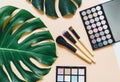 Set of professional decorative cosmetics, makeup tools and accessory on yellow background with big monstera leaf. Beauty, fashion Royalty Free Stock Photo