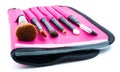 A set of professional face makeup products in a pink organizer