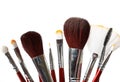 Set of professional makeup brushes.