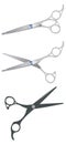 Set of professional scissors