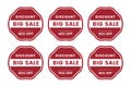 Set of promotion badge big sale vector