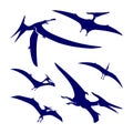 Set of Pterosaurs logo design vector. Icon Symbol. Template Illustration Royalty Free Stock Photo