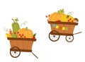 Two wheelbarrows with pumpkins, autumn leaves, berries and mushrooms and flags. Royalty Free Stock Photo