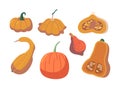 Set Of Pumpkin Different Shapes And Types. Orange Fruit With Thick Skin And Edible Flesh And Seeds, Cartoon Illustration