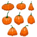 A set of pumpkin of different shapes. vector isolated on a white background