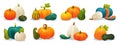 Set of pumpkin icons of different colors and shapes isolated on white background