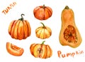Set of pumpkin isolated illustration with lettering on English and Russian for halloween and Fall on white background. Watercolor