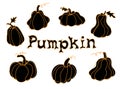 Set of pumpkins. Continuous one line drawing of different pumpkins. Traditional Thanksgiving symbols Royalty Free Stock Photo