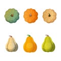 Set of pumpkins of different colours and sizes Royalty Free Stock Photo