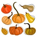 A set of pumpkins in different grades and shapes hand drawn. Vector collection of cute pumpkins on white background Royalty Free Stock Photo