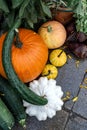 set of pumpkins of different sizes