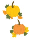 A set of pumpkins in fallen leaves. A collection of cartoon pumpkins. Autumn illustration. Vector print for postcard. Royalty Free Stock Photo