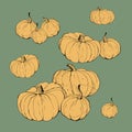 Set of pumpkins , isolated images on white background, doodles decoration Royalty Free Stock Photo