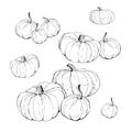 Set of pumpkins isolated images doodles Royalty Free Stock Photo