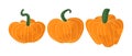 Set of pumpkins isolated on white background. Vectors pumpkins icons in flat cartoons style with texture. Royalty Free Stock Photo