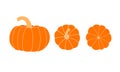 Set of pumpkins. Pumpkin top view, bottom view.