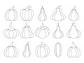 A set of pumpkins of various shapes, with a black outline. Vector collection of hand-drawn pumpkins on a white