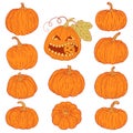 A set of pumpkins, Vector collection of cute hand drawn pumpkins on white background. Royalty Free Stock Photo