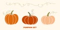Set of pumpkins. Vector illustration of autumn ripe cozy squash. Thanksgiving day background. Hygge time. Halloween party kitchen
