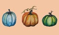Set of pumpkins. Watercolor illustration of pumpkins. Autumn theme.