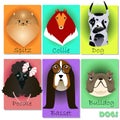 Set with purebred dogs Royalty Free Stock Photo