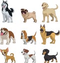 Set purebred dogs Royalty Free Stock Photo